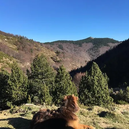 Val Du Tech Hotell 3*